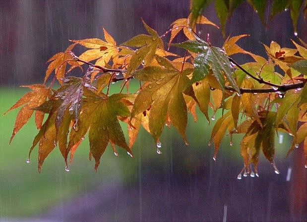 باران خواهی در مناطق مختلف استان ایلام