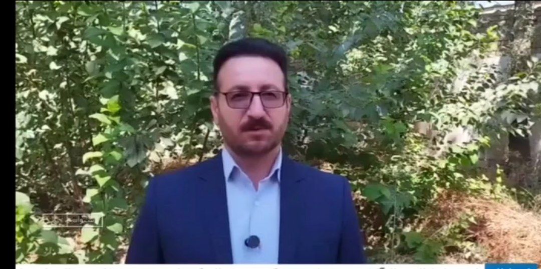 عطر باغات هلو در بخش سیوان ( میشخاص ) ایلام به مشام می‌رسد