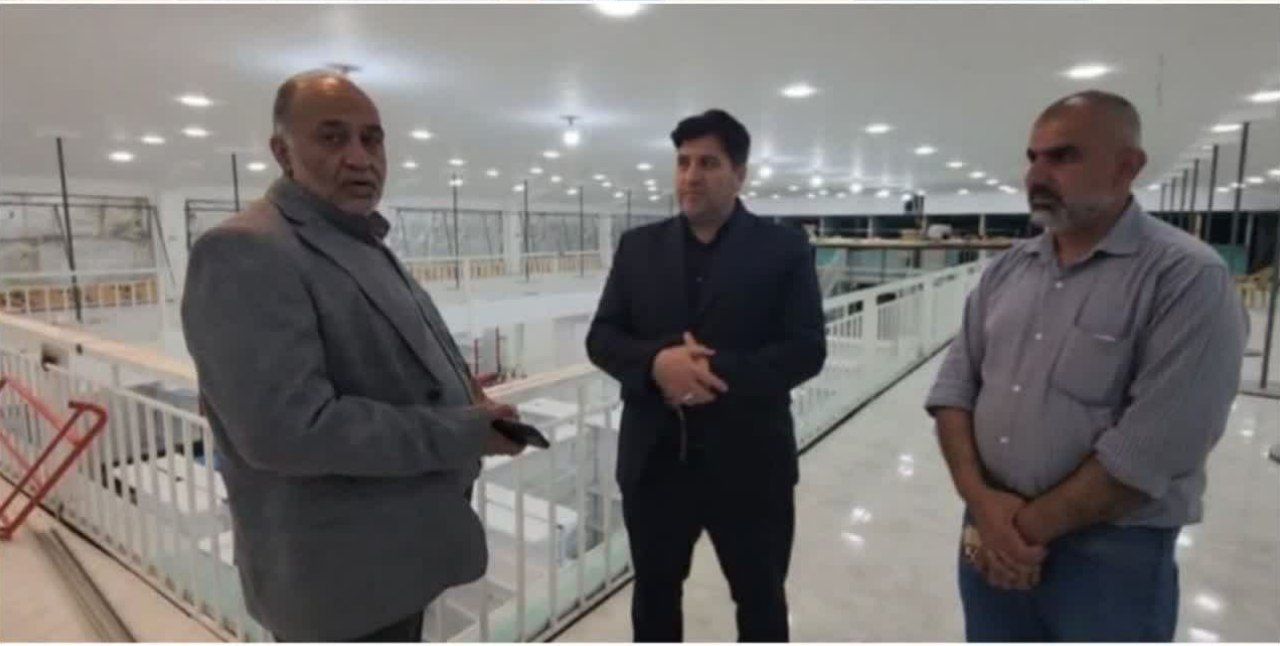 استقبال سرمایه‌گذار عراقی از آثار هنرمندان ایلامی