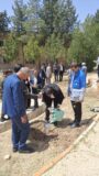 بزرگداشت روز ملی مرتع و مرتعداری در ایلام