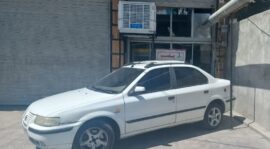 پلمپ کبابی متخلف در ایلام